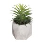 Plante décorative Atmosphera 7 x 14 cm PVC