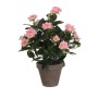 Plante décorative Mica Decorations Rosal Céramique PVC