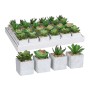 Planta Decorativa Mica Decorations 8 x 5 cm PVC Suculenta