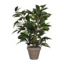 Planta Decorativa Mica Decorations 40 x 30 cm Cerámica PVC Ficus