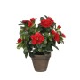 Planta Decorativa Mica Decorations 11,5 x 27 x 20 cm Azalea