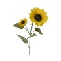 Ramilletes Everlands 10 x 15 x 72 cm Girasol