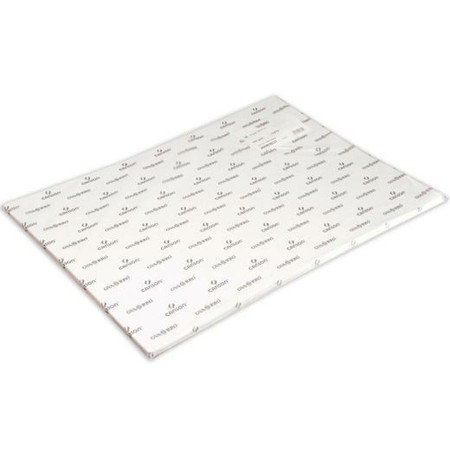 Papier pour aquarelle Canson Blanc 350 g 25 Volets 25 Unités (50 x 70 cm)