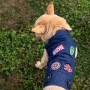 Veste pour chien Marvel Bleu XXS