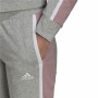 Chándal Mujer Adidas Sportswear Subtle Block Gris Rosa