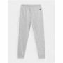 Pantalones Cortos Deportivos para Niños 4F Gris