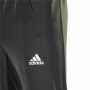 Pantalon pour Adulte Adidas Training Gris foncé