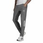 Pantalón para Adultos Adidas Training Gris oscuro