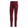 Pantalón Largo Deportivo Adidas Loungewear Burdeos Mujer