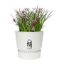 Pot Elho Greenville Ronde Blanc Plastique (Ø 29,5 x 27,8 cm)