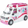 Accessoires pour poupées Barbie FRM19