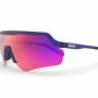 Gafas de Sol Spektrum Blankster Azul