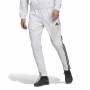 Jogging d'Entraînement de Football pour Adultes Adidas Condivo Real Madrid 22 Blanc Homme