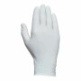 Guantes Desechables JUBA Caja Sin polvo (100 Unidades)