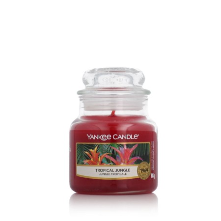 Vela Perfumada Yankee Candle Frutas tropicales (104 g)