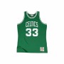 Camiseta de baloncesto Mitchell & Ness Boston Celtics Larry Bird 33 Verde