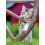 Puzzle Ravensburger Kittens 2 x 500 Pièces