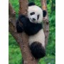 Puzzle Ravensburger Panda & Koala 2 x 500 Piezas