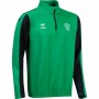 Veste de Sport pour Homme Hummel Vert