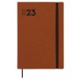 Agenda Finocam Dynamic Mara Y1 2023 Marron (16,5 x 24 cm)