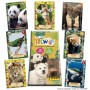 Pack de cromos Panini REWILD TRADING CARDS GAME (FR)