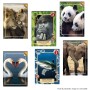 Pack de cromos Panini REWILD TRADING CARDS GAME (FR)