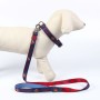 Collar para Perro DC Pets XXS/XS Azul