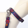 Collar para Perro DC Pets XXS/XS Azul