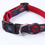 Collier pour Chien DC Pets Bleu M/L