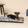 Cama para Perro Marvel Gris