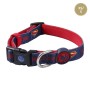 Collier pour Chien DC Pets Bleu XS/S