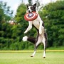 Frisbee The Avengers Rojo