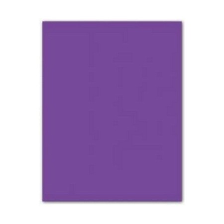 Cartulinas Iris Violeta 185 g (50 x 65 cm) (25 Unidades)