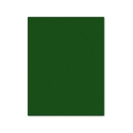 Cartulinas Iris 185 g Verde oscuro (50 x 65 cm) (25 Unidades)