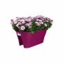 Pot Elho Corsica 29,6 x 58 x 24 cm Violet Plastique