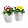 Pot Elho Vibia Campana Twin 38,4 x 20,5 x 26,5 cm Blanc