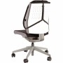 Respaldo para Asiento Fellowes Negro Ajustable Ergonómico (Reacondicionado A)