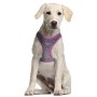 Arnés para Perro Wonder Woman Rosa XS/S