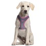 Arnés para Perro Wonder Woman Rosa M/L