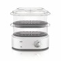 Chalumeau de Cuisine Braun FS 5100