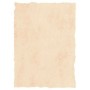 Papel pergamino Michel Beige A4 25 Unidades