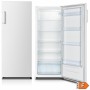 Réfrigérateur Hisense RL313D4AW1 Blanc (144 x 55 cm)