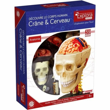 Jeu scientifique MGM Skull Anatomy and Brain Tête Anatomie (39 Pièces)