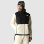 Veste de Sport pour Homme The North Face Denali 2 Beige