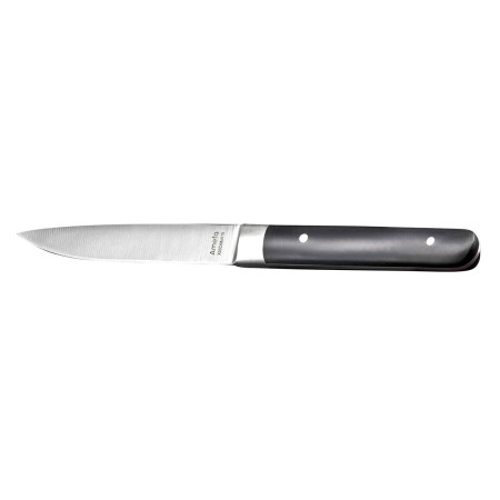 Ensemble de couteaux à viande Amefa Fusion 22 x 1,8 x 1,2 cm Métal Bicolore 12 Unités