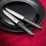 Set de Cuchillos para Carne Amefa Fusion 22 x 1,8 x 1,2 cm Metal Bicolor 12 Unidades