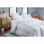 Remplissage de couette Blanreve Blanc Anti-acariens 200 x 200 cm 420 g/m²