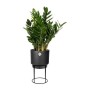 Pot Elho Plastique Avec support Ronde Noir (Ø 22 x 38,2 cm)