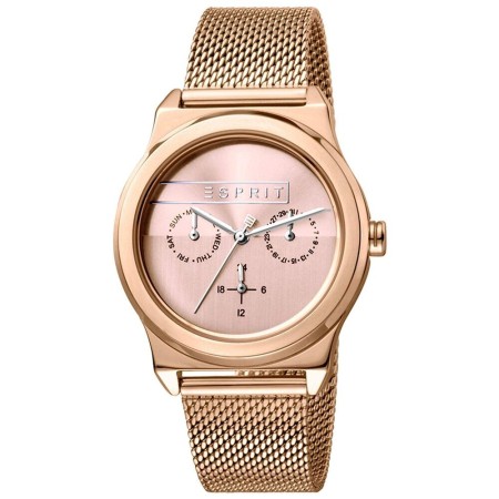 Montre Femme Esprit ES1L077M0065