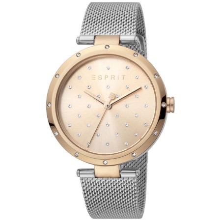 Montre Femme Esprit ES1L214M0095